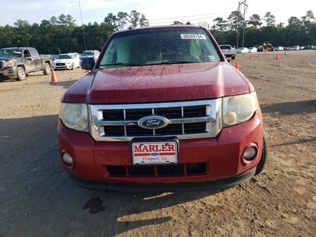 2010 Ford Escape XLT