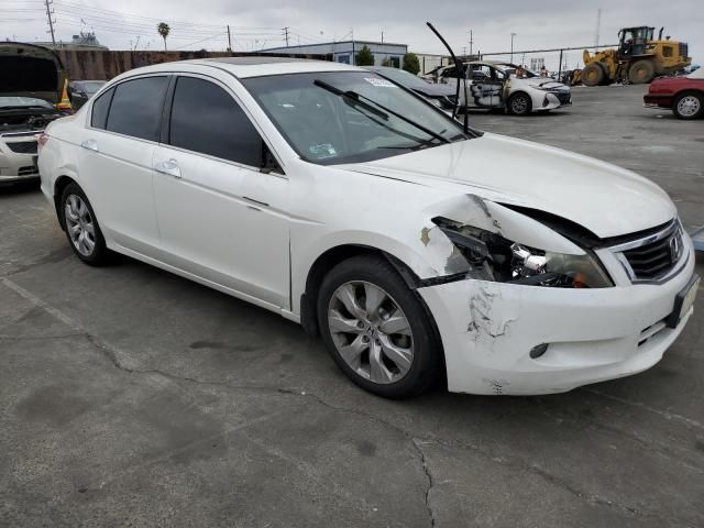 2010 Honda Accord EXL