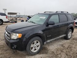 Salvage cars for sale at Houston, TX auction: 2009 Ford Escape Hybrid