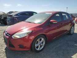 Salvage cars for sale at Antelope, CA auction: 2014 Ford Focus SE