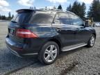 2015 Mercedes-Benz ML 250 Bluetec