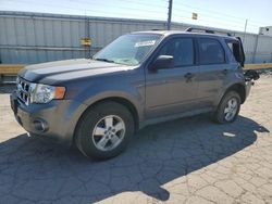 Salvage cars for sale at Dyer, IN auction: 2009 Ford Escape XLT