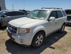 Salvage cars for sale from Copart Tucson, AZ: 2010 Ford Escape Limited