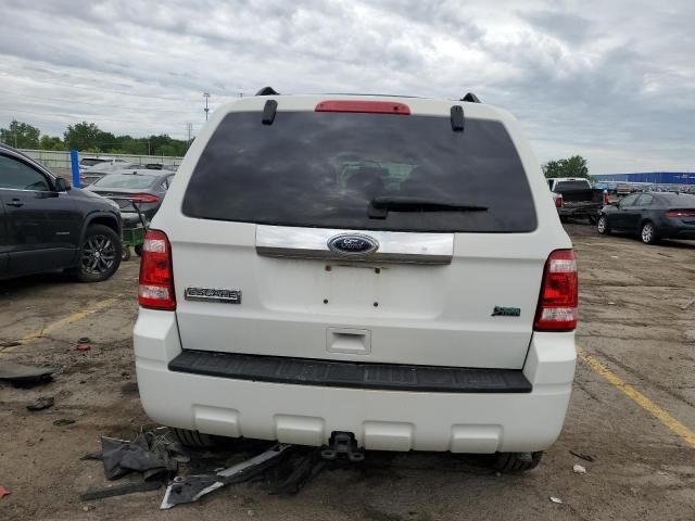 2011 Ford Escape Limited