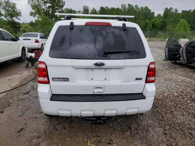 2010 Ford Escape XLT