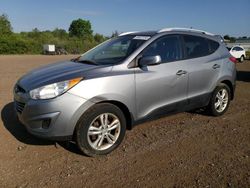 Salvage cars for sale at Columbia Station, OH auction: 2011 Hyundai Tucson GLS