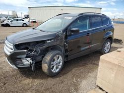 Salvage cars for sale from Copart Rocky View County, AB: 2018 Ford Escape SEL