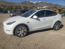 Tesla salvage cars for sale: 2023 Tesla Model Y