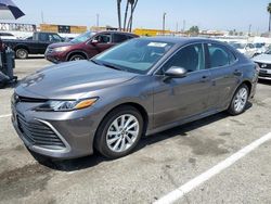 Toyota Camry LE salvage cars for sale: 2023 Toyota Camry LE