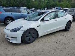 Salvage cars for sale at Seaford, DE auction: 2023 Tesla Model 3