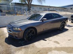 Salvage cars for sale at Albuquerque, NM auction: 2014 Dodge Charger R/T