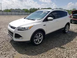 Vehiculos salvage en venta de Copart Louisville, KY: 2013 Ford Escape Titanium