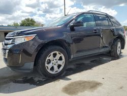 Salvage cars for sale at Orlando, FL auction: 2013 Ford Edge SEL
