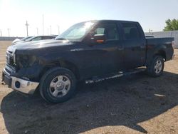 Salvage cars for sale from Copart Greenwood, NE: 2010 Ford F150 Supercrew