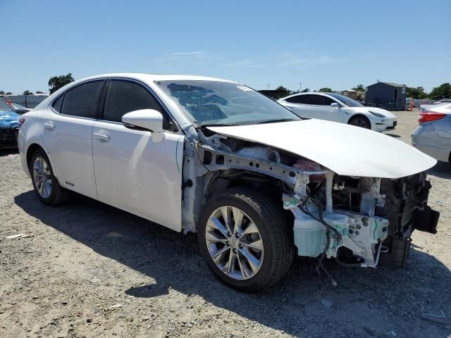 2014 Lexus ES 300H