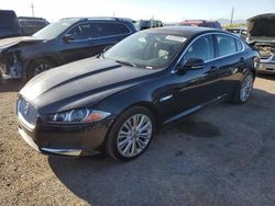 Salvage cars for sale at Tucson, AZ auction: 2012 Jaguar XF Portfolio