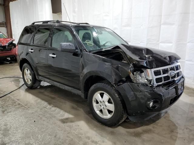 2011 Ford Escape XLT