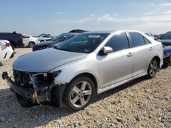 Toyota Camry salvage cars for sale: 2025 Toyota Camry L