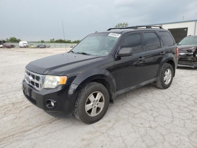 2011 Ford Escape XLT