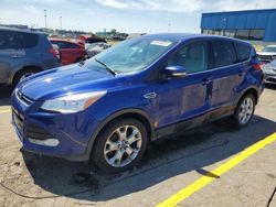 Salvage cars for sale at Woodhaven, MI auction: 2013 Ford Escape SEL