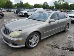 Mercedes-Benz S 55 AMG salvage cars for sale: 2005 Mercedes-Benz S 55 AMG