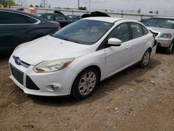 Salvage cars for sale at Elgin, IL auction: 2012 Ford Focus SE