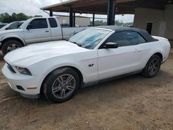 Ford Mustang salvage cars for sale: 2011 Ford Mustang