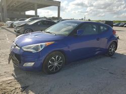 Salvage cars for sale at West Palm Beach, FL auction: 2012 Hyundai Veloster