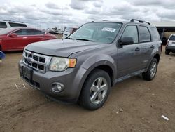 Salvage cars for sale at Brighton, CO auction: 2009 Ford Escape XLT
