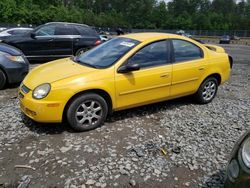 Salvage cars for sale at Waldorf, MD auction: 2003 Dodge Neon SXT