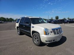 Salvage cars for sale from Copart Memphis, TN: 2007 Cadillac Escalade Luxury