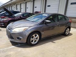 Salvage cars for sale at Louisville, KY auction: 2013 Ford Focus SE