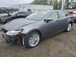 Salvage cars for sale at Arlington, WA auction: 2013 Lexus ES 350