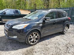Salvage cars for sale at Candia, NH auction: 2014 Ford Escape Titanium