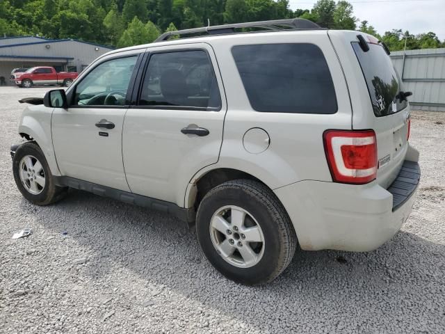 2009 Ford Escape XLT