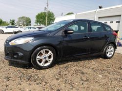 Salvage cars for sale from Copart Blaine, MN: 2014 Ford Focus SE