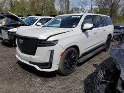 Vehiculos salvage en venta de Copart Marlboro, NY: 2023 Cadillac Escalade ESV Sport