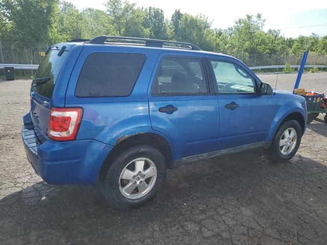 2011 Ford Escape XLT