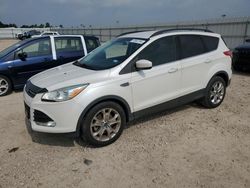 Salvage cars for sale from Copart Houston, TX: 2016 Ford Escape SE