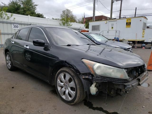 2009 Honda Accord EXL