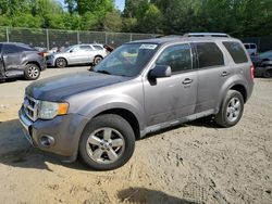 Ford Escape Vehiculos salvage en venta: 2010 Ford Escape Limited