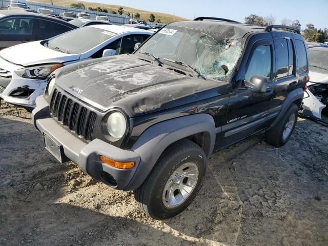 2003 Jeep Liberty Sport