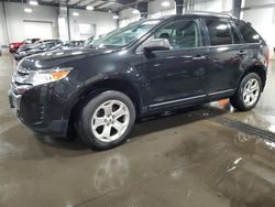 Salvage cars for sale at Ham Lake, MN auction: 2014 Ford Edge SE