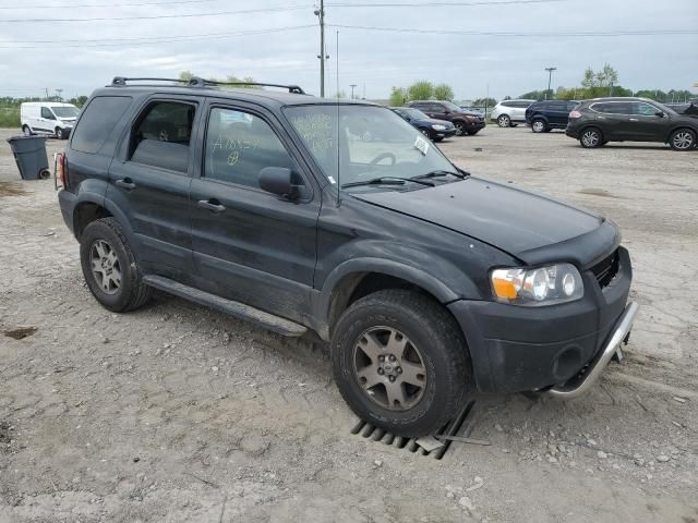 2005 Ford Escape XLT