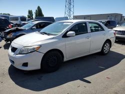 Salvage cars for sale at Hayward, CA auction: 2010 Toyota Corolla Base