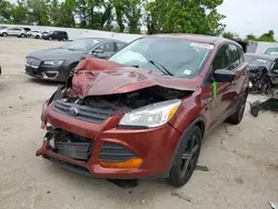 Ford Escape salvage cars for sale: 2016 Ford Escape S