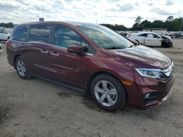 2019 Honda Odyssey EXL