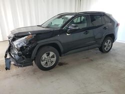 Salvage cars for sale from Copart Shreveport, LA: 2024 Toyota Rav4 XLE