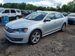 Salvage cars for sale at Chalfont, PA auction: 2014 Volkswagen Passat S