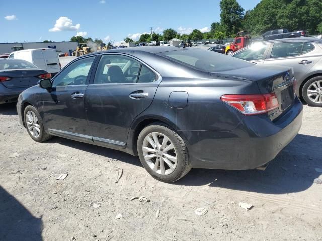 2010 Lexus ES 350